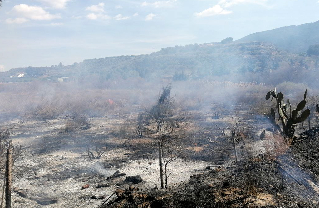 Se incendia un terreno agrícola abandonado en Alhama de Murcia